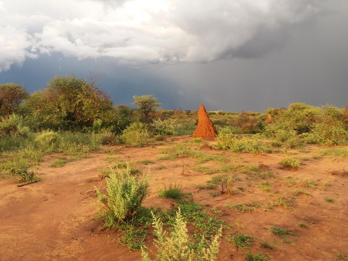 Lion'S Den Guesthouse Otjiwarongo Exteriér fotografie