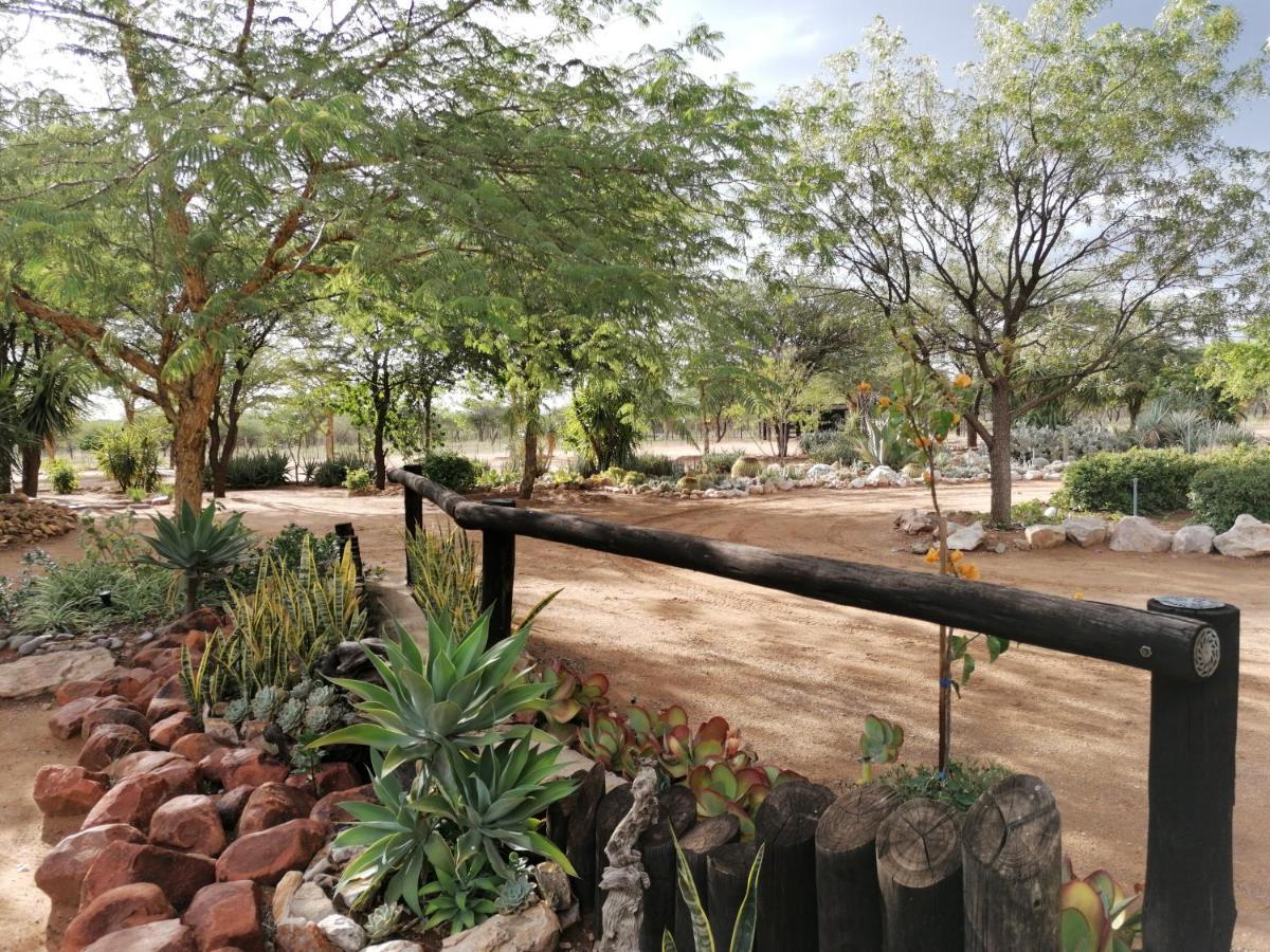 Lion'S Den Guesthouse Otjiwarongo Exteriér fotografie