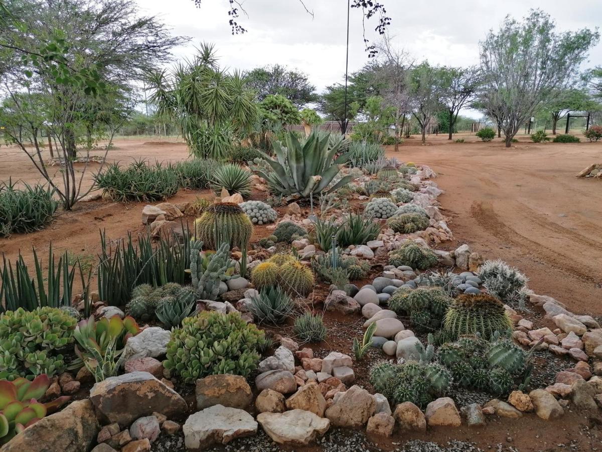 Lion'S Den Guesthouse Otjiwarongo Exteriér fotografie