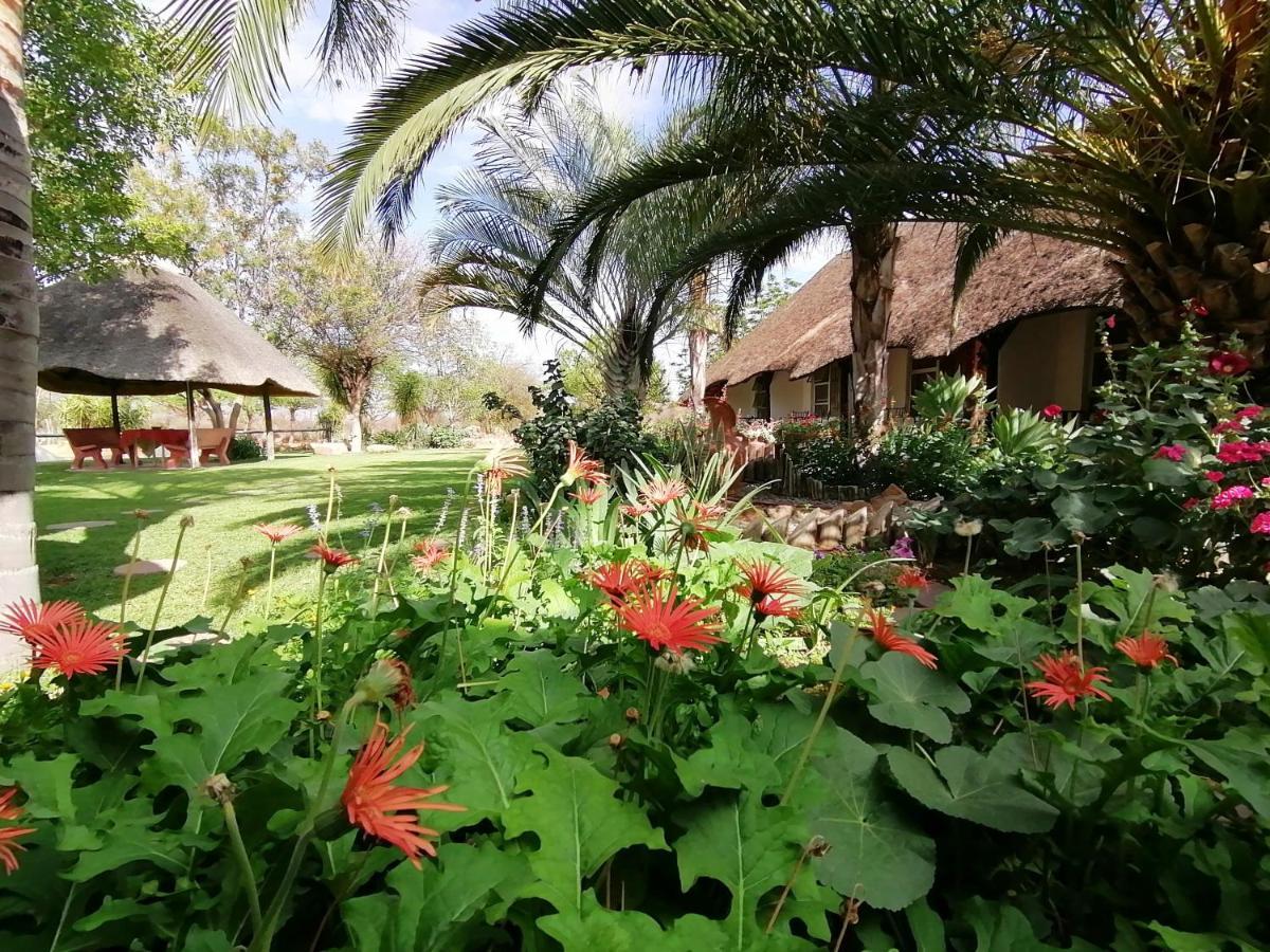 Lion'S Den Guesthouse Otjiwarongo Exteriér fotografie