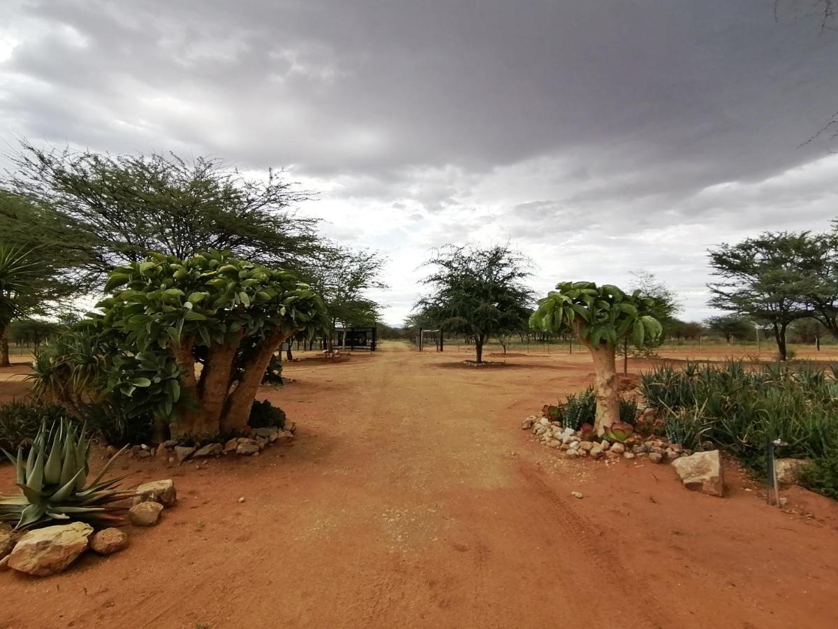 Lion'S Den Guesthouse Otjiwarongo Exteriér fotografie