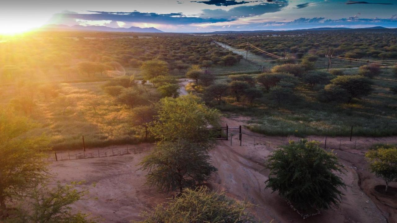 Lion'S Den Guesthouse Otjiwarongo Exteriér fotografie