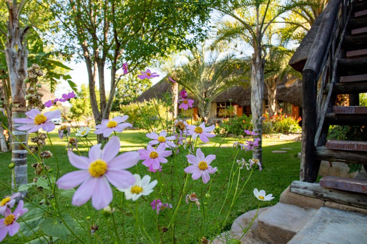 Lion'S Den Guesthouse Otjiwarongo Exteriér fotografie