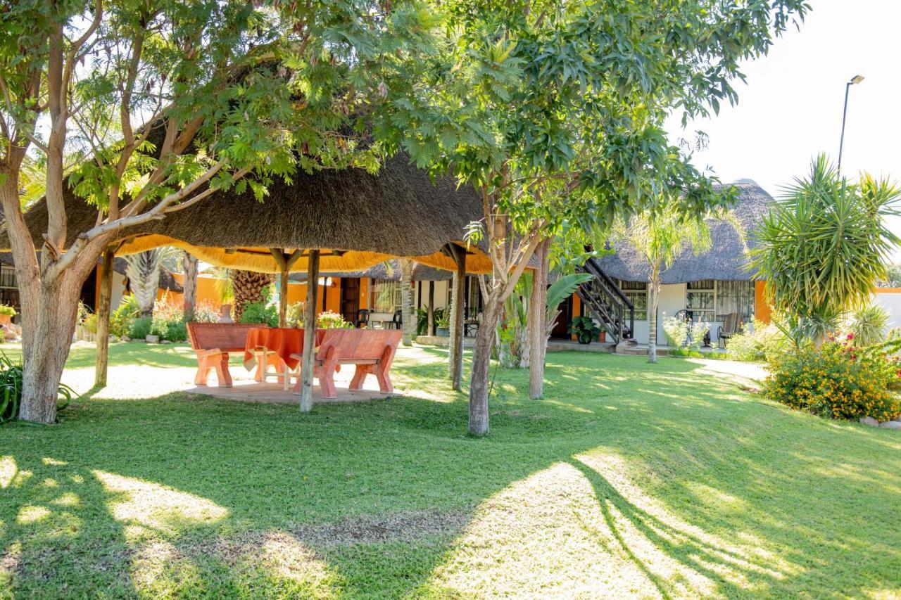 Lion'S Den Guesthouse Otjiwarongo Exteriér fotografie