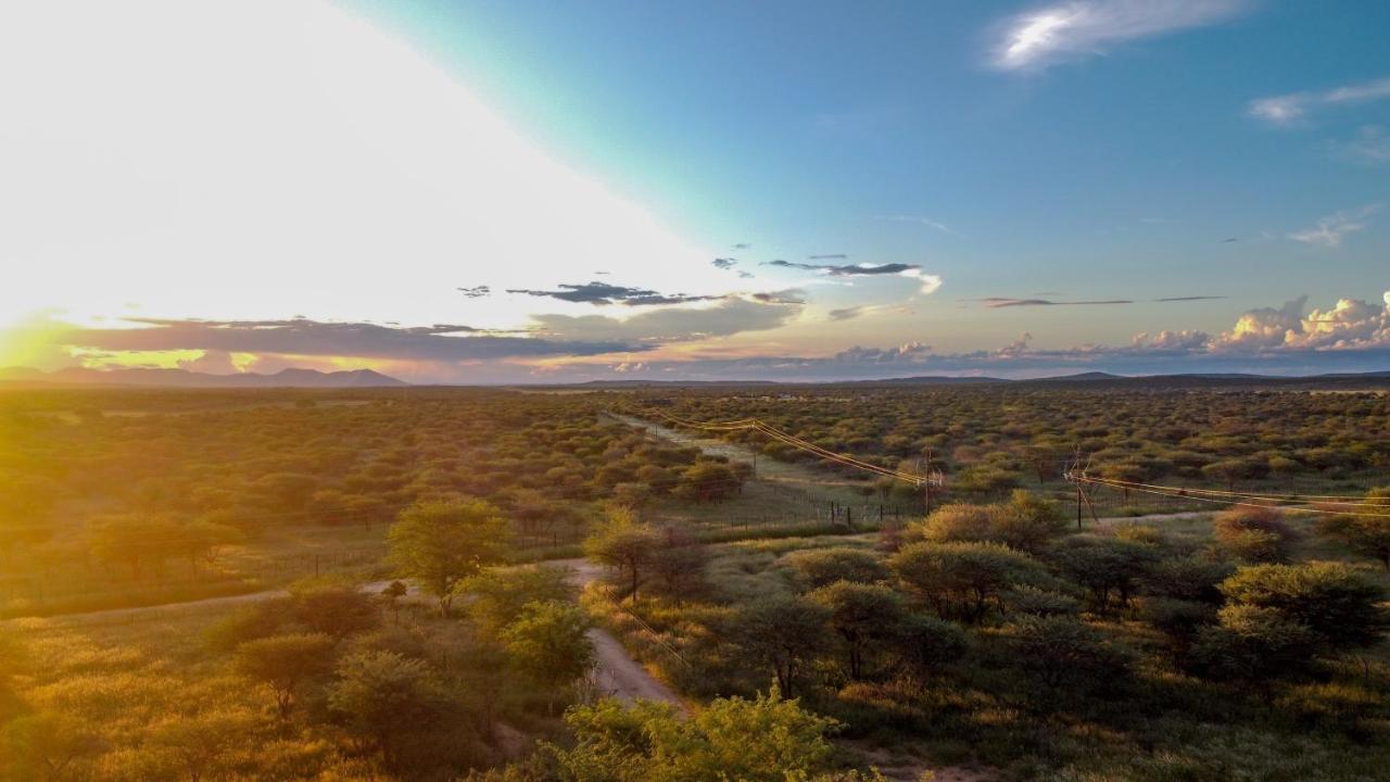 Lion'S Den Guesthouse Otjiwarongo Exteriér fotografie